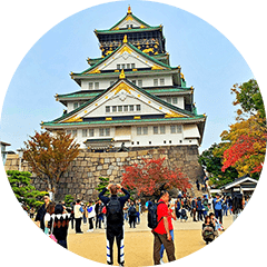 全国No.1の求人数